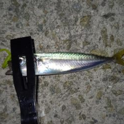 お盆は雨なので