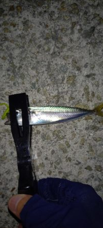 お盆は雨なので