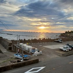 ロックフィッシュ