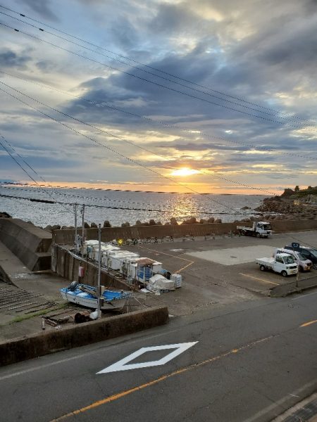 ロックフィッシュ