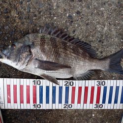 小豆島遠征part1