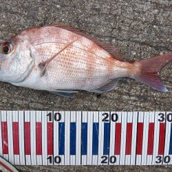 小豆島遠征part2