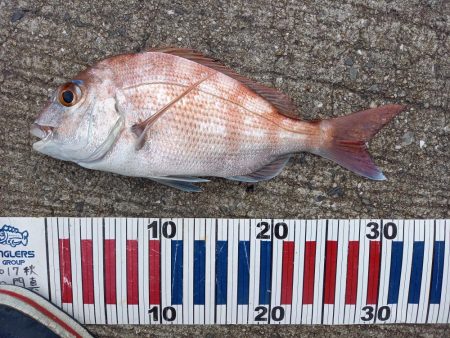 小豆島遠征part2