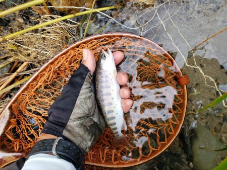 読み間違えたみたい、、、