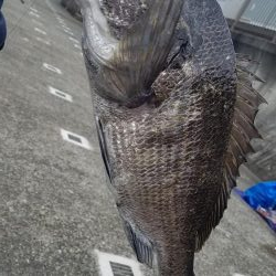 久しぶりの釣り