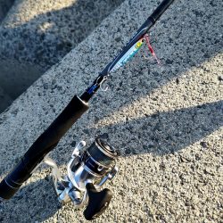 刀狩りしてきました