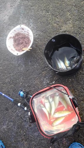 雨の切り目でアジをお狙いスクランブル発信！…