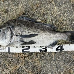 イチノ兄弟、釣果！