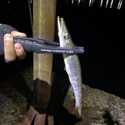 アジングのつもりが