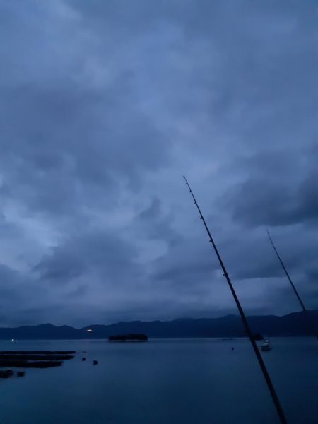 イカの気持ち１