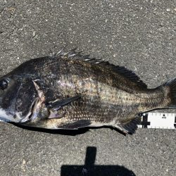 イチノ兄弟、釣果！