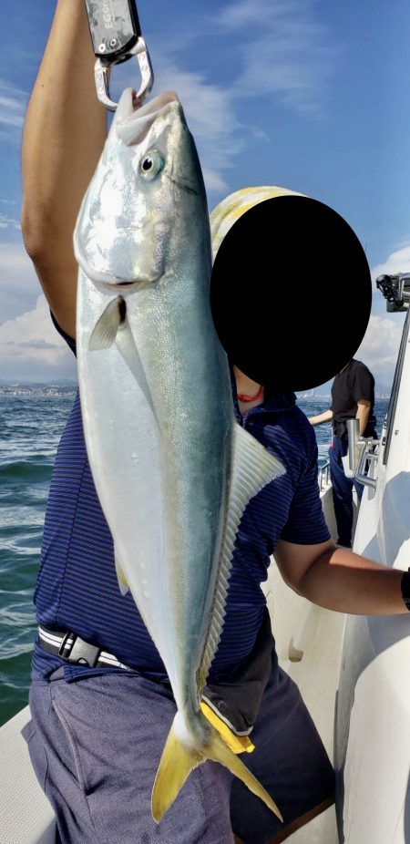 青物渋く、サビキを堪能