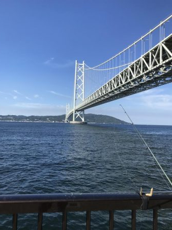 アジ少なめイワシまし人マシマシ