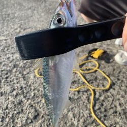 YES!ジギング NO!ぶっこみ