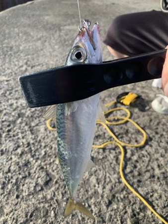 YES!ジギング NO!ぶっこみ