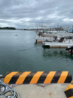 投げ釣り、アジング