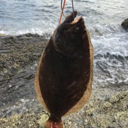 ショアジギング