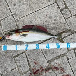 ショアジギング