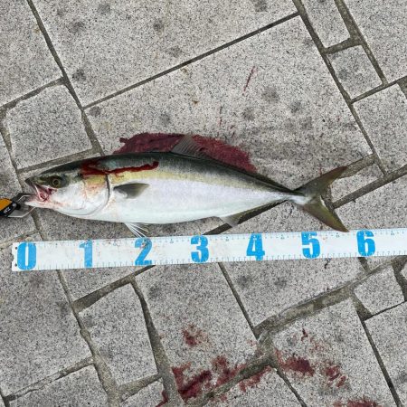 ショアジギング