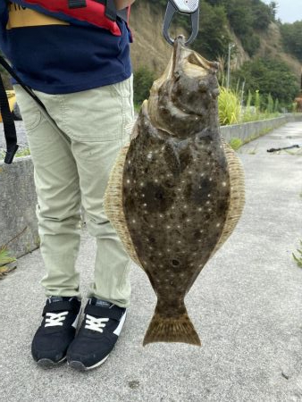 ヒラメが釣れちゃった