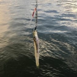 雨がやんだタイミングで