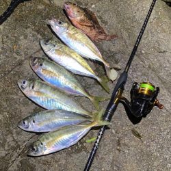 ゲキ渋フロートアジング！