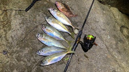 ゲキ渋フロートアジング！