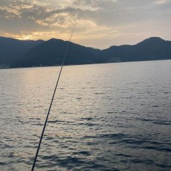 蚊がえげつない