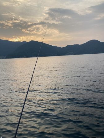 蚊がえげつない