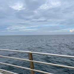 ショアジギング