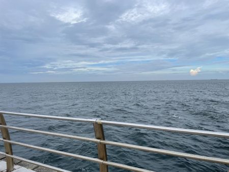 ショアジギング