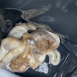 ファミリーフィッシング