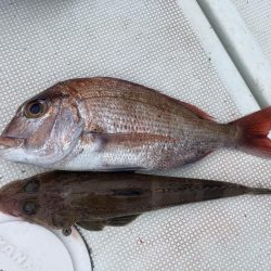 大雨のあと　その2