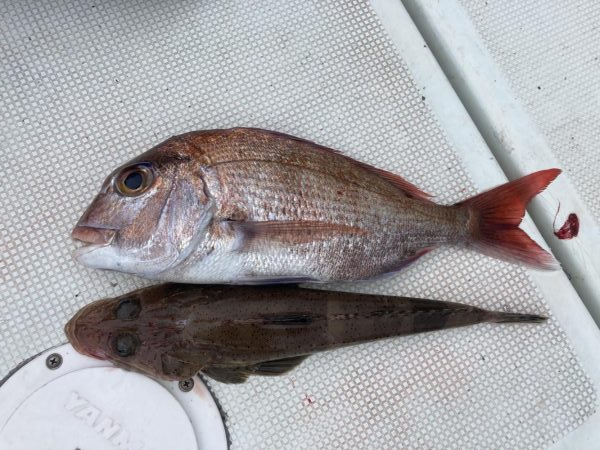 大雨のあと　その2
