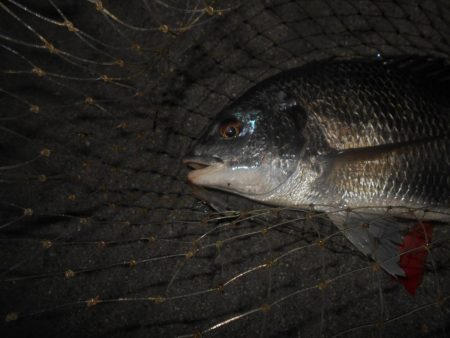 リフト＆フォールでヒット