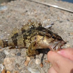 雨の合間を縫って