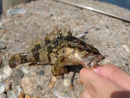 雨の合間を縫って