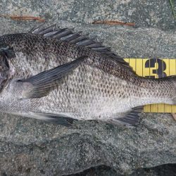 小物釣りの合間に