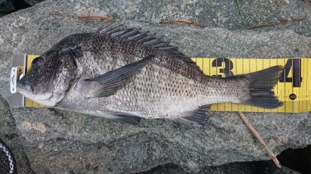 小物釣りの合間に
