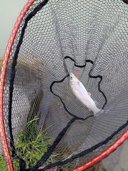 フィッシングフィールド中津川で管釣り