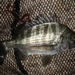 ストラクチャー際でステイ