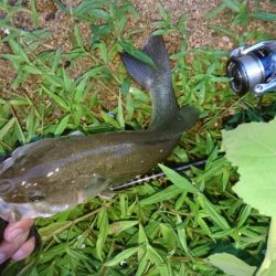 雨上がりの釣行