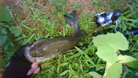 雨上がりの釣行