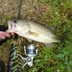 朝からハイプレッシャー！！