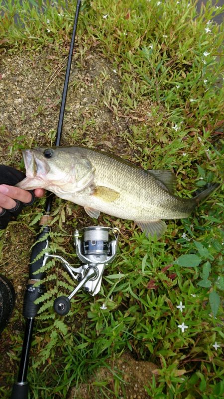 朝からハイプレッシャー！！