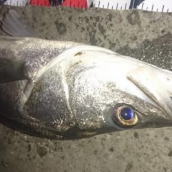 下げ止まりから