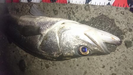 下げ止まりから