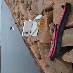 雨の合間にフカセ