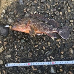 大雨の後で海は濁ってたけれど