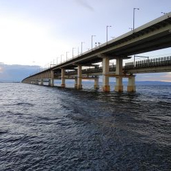 アジングのはずか